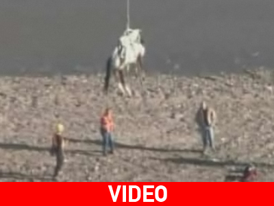 Ιπτάμενο… άλογο