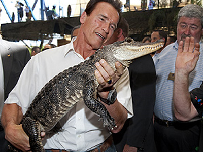 Ο Σβαρτσενέγκερ… o συνοριοφύλακας