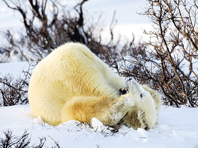 Παιχνίδια στο χιόνι