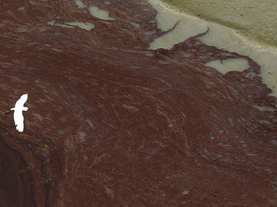 BP: 50 δισ. για την πετρελαιοκηλίδα