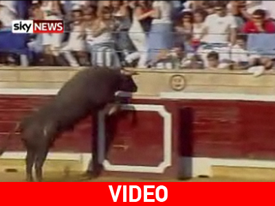 Ταύρος επιτέθηκε στους θεατές