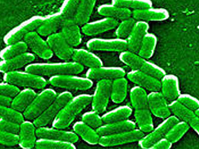 Φόβοι για βακτήριο ανθεκτικό στα αντιβιοτικά