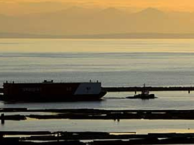 Η θάλασσα ξέβρασε… πόδι!
