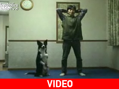 Ο σκύλος… πιστό «αντίγραφο» του ανθρώπου