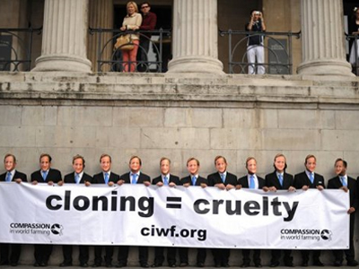 Αντιδράσεις για τα κλωνοποιημένα ζώα