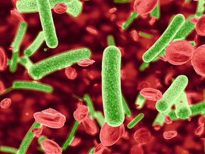 Αλλαγές στην αντιμετώπιση των επιδημιών