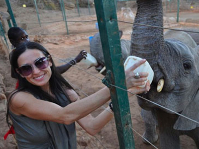 Τάισαν ορφανά ελεφαντάκια