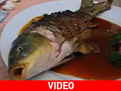 Τρώνε ζωντανό ψάρι!