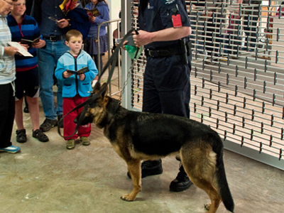 Εγκλωβισμένη στο αεροδρόμιο… λόγω σκύλου