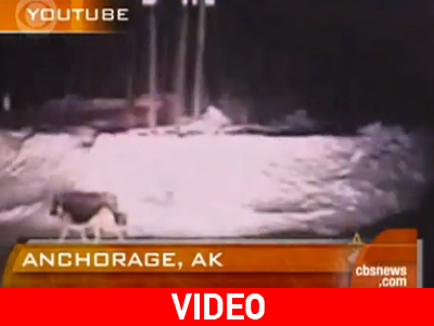 Τον έσωσε ο σκύλος του