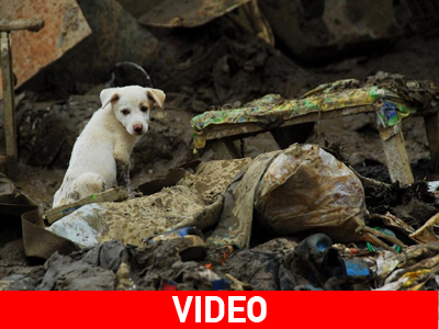 Στο έλεος νέου τυφώνα οι Φιλιππίνες