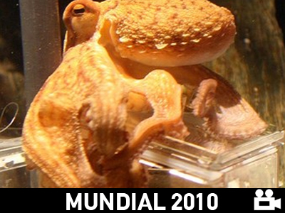 «Κρέμασε» τη Γερμανία το… χταπόδι