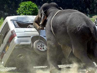 Άνθρωποι κατά ελεφάντων στη Σρι Λάνκα