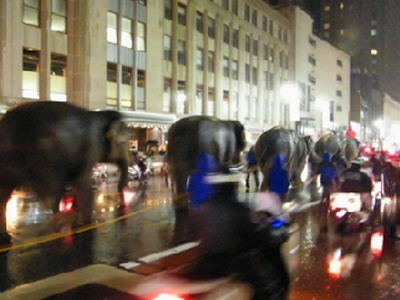 Ελέφαντες στους δρόμους της Νέας Υόρκης