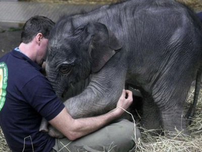 Από μικρή… star