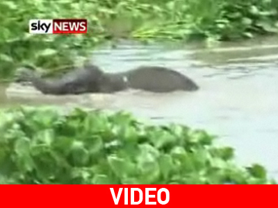 Πώς κόλλησε εκεί;