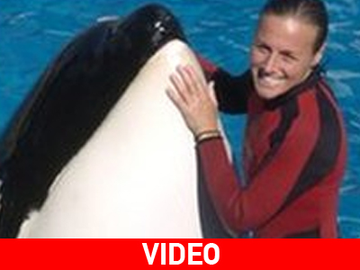 Η φάλαινα την έπιασε από τα μαλλιά Η φάλαινα την έπιασε από τα μαλλιά