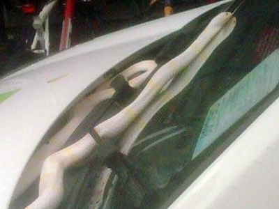 Φίδι… υαλοκαθαριστήρας