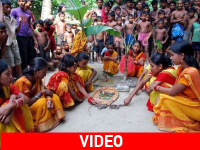 Γάμοι βατράχων… κατά της ξηρασίας