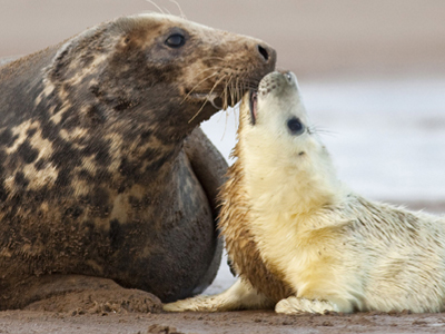Η φύση ακόμα… εκπλήσσει