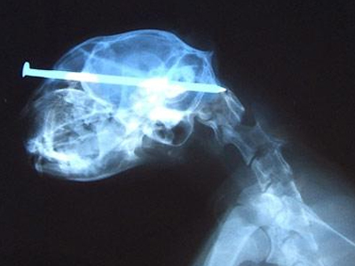 Της καρφώθηκε… καρφί!