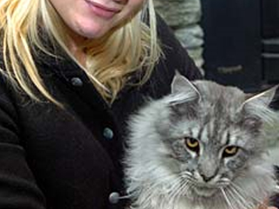 Γάτος… πυροσβέστης