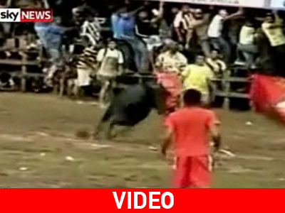 Τρεις νεκροί σε ταυρομαχία