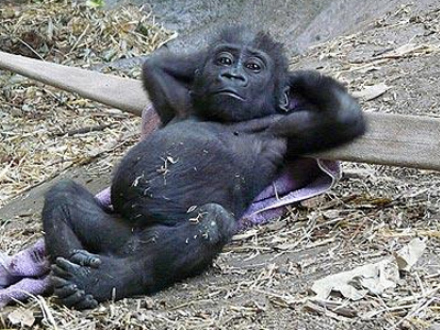 Τι σας θυμίζει;