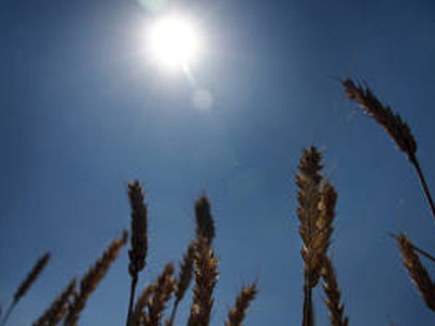 Υπό το φόβο των σιτηρών…