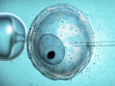 Διπλασιάστηκαν οι εξωσωματικές στην Αυστραλία