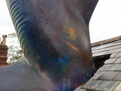 Καρχαρίας… στη στέγη