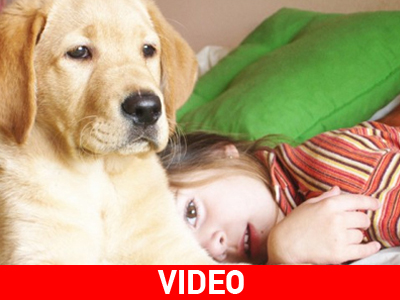 Διάβασμα… μαζί με το σκύλο