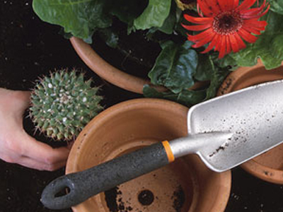 Βγαίνουν… τα φτυάρια