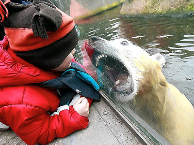 Προβλήματα συμπεριφοράς έχει ο Κνουτ