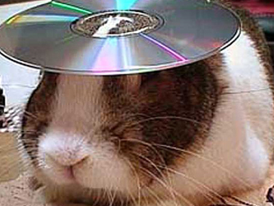 Το κουνέλι… δίσκος!