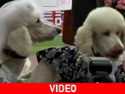 Τι τραβούν και αυτά;