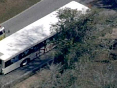 Δεκάχρονος σκοτώθηκε στο Πάρκο του Disney