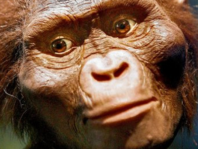 Ξαναγράφεται το βιβλίο της εξέλιξης