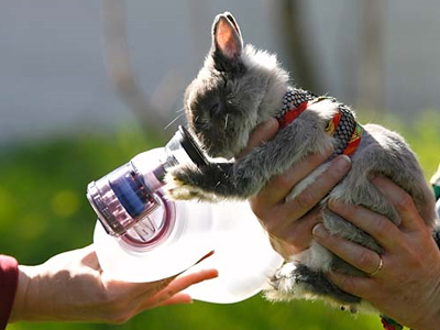 Μάσκες οξυγόνου… για ζώα