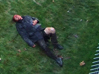 Αρκούδα επιτέθηκε σε επισκέπτη κήπου