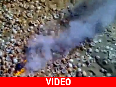 Μετεωρίτης σε παραλία του Τελ Αβίβ;