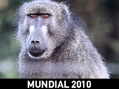 Μπαμπουίνοι «επιτέθηκαν» στην Εθνική Αγγλίας