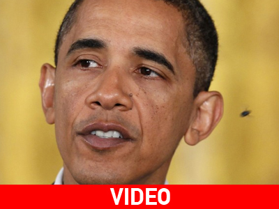 Ο Ομπάμα… και η μύγα