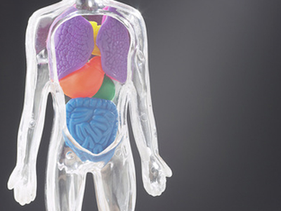 Έκκληση για την απαγόρευση διακίνησης ανθρώπινων οργάνων