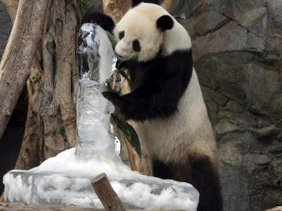 Γενέθλια από… πάγο