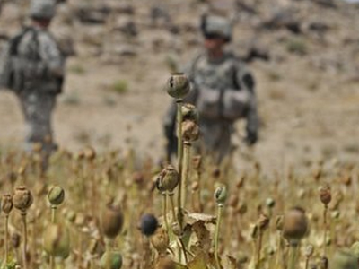 Αφγανιστάν: Σε κίνδυνο η οπιούχος παπαρούνα