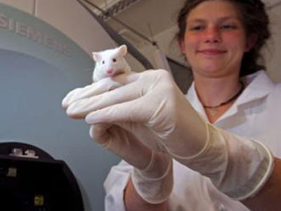 Νόμος περιορίζει τα πειραματόζωα