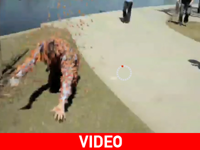 Επίθεση… από πεταλούδες