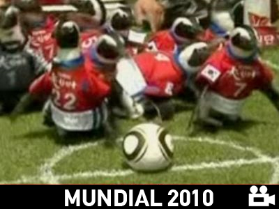 Πιγκουίνοι έτοιμοι για Mundial