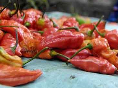 Την τρως και… φλέγεσαι